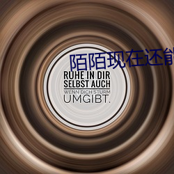 陌陌現在還能約到人嗎