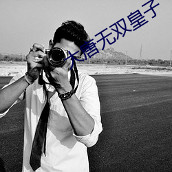 大唐无双皇子