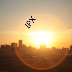 IPX （向导）