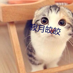 寂月皎皎