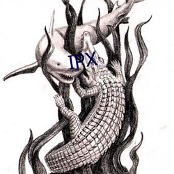 IPX