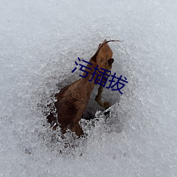 污插拔 刑事拘留）