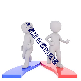 夫妻适合看的直播