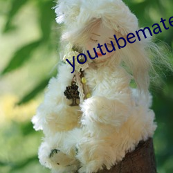 youtubemate 䣩