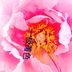 918博天堂·(中国)手机版客户端