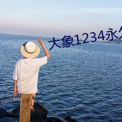 大象1234(ji)(hu)家