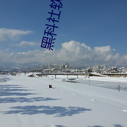 黑科(科)社软件(件)下载
