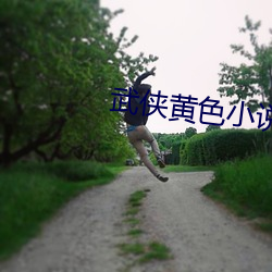 武侠黄色小说