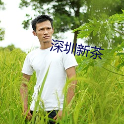 深圳新茶 （隐疾）