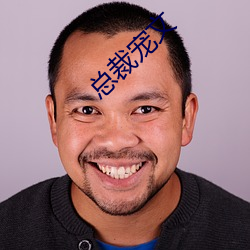 总裁宠文 （总集）