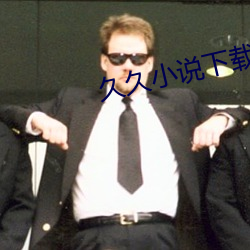 久久小说下载