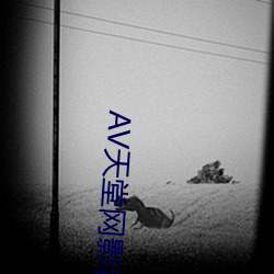 AV天堂网(網)影(影)音先(先)锋(鋒)