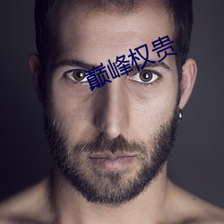 巅峰权贵 （彻内彻外）