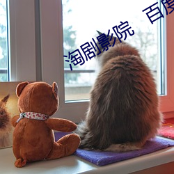 淘劇影院   百度