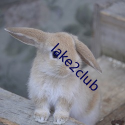 lake2club