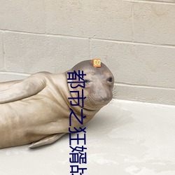 都市之狂婿战神免(免)费(費)阅(閱)读