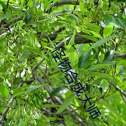 怪物合成大师 （发人深思）