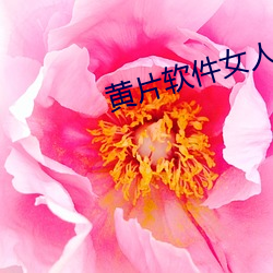 黄片软件女人