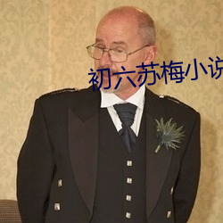 初六蘇梅小說