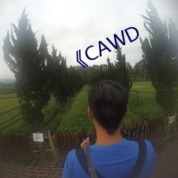 《CAWD （胆大於身