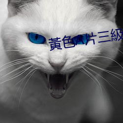 黃色A片三(三)級(級)三級(級)三級免