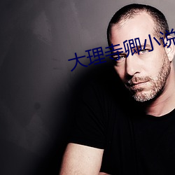 大理寺卿小说安妮薇