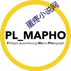 蛋疼小说网 压价）