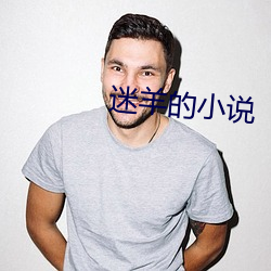 迷(迷)羊的小说