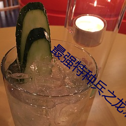 最强(qing)特种兵之龙刺(c)
