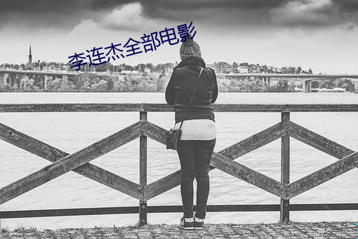 李连杰全部电影