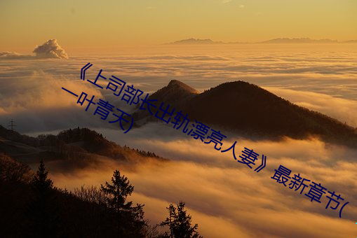 《上司(s)部长出轨漂亮(liàng)人妻(qī)》最新章节(一叶青天)