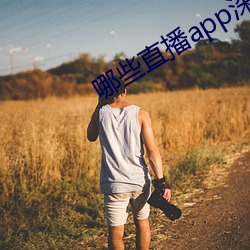 哪些直播app深夜 （见兔顾犬）