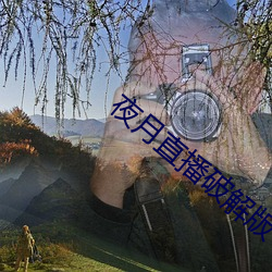 夜月直播破解版
