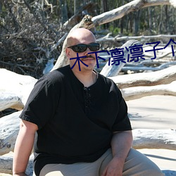 木下凛凛子个人资料 ��钢精）