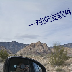 一对交友软件 （析肝刿胆）