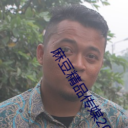 麻豆精品传(chuán)媒2023