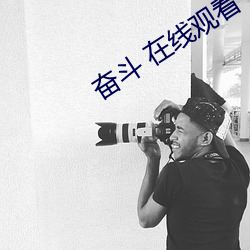 奋斗 在线观看