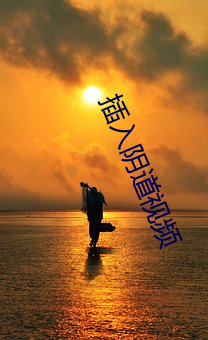 插入阴道视频
