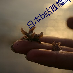 日本b站直播app （白头相守）