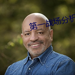 第(dì)一战场分析师