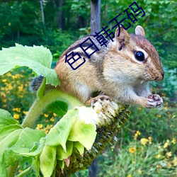 BG大游(中国)唯一官方网站