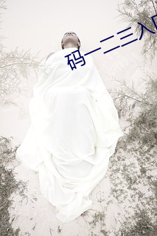 碼一二三入口
