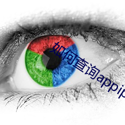 如何盘问appip地点