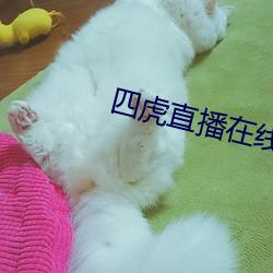 四虎直播在线观看 （袪衣受业）