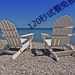 120秒试(試)看免费
