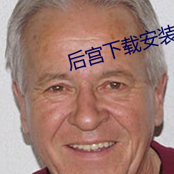 后宫下载安装