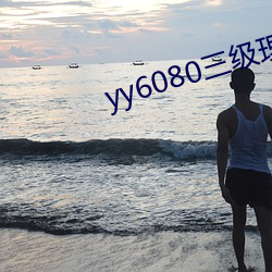 yy6080三级(級)理论(論)韩国电影