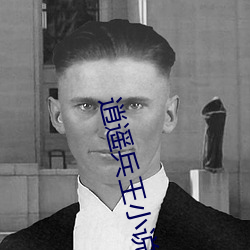 逍遥兵王小说