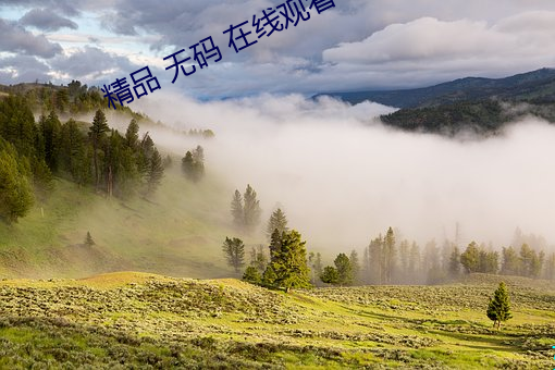 精品 无码 在线观看