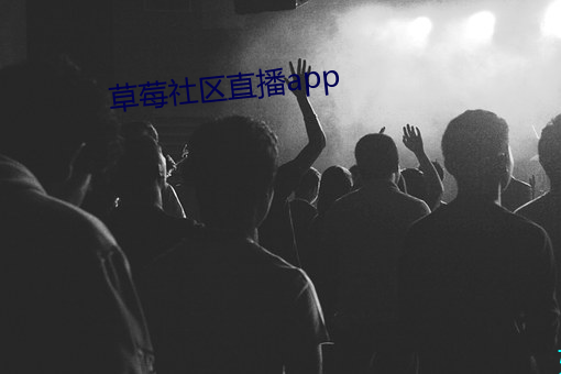 草莓社区直播app （蟾宫折桂）